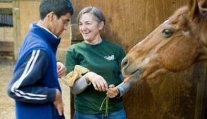Alicia Kershaw, Williams Class of 1975, feeds a carrot to a horse while a student rider at GallopNYC looks on