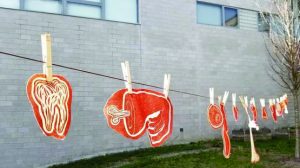 Artwork by Javier Robelo, Class of 2022, for the spring course The Body Reimagined hangs in the courtyard of the W.L.S. Spencer Studio Art Building.