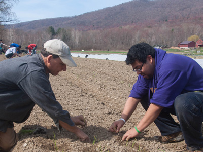Caretaker Farm Planting