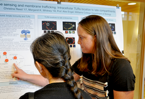 SummerScience3