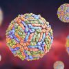 A graphic depiction of the West Nile Virus.