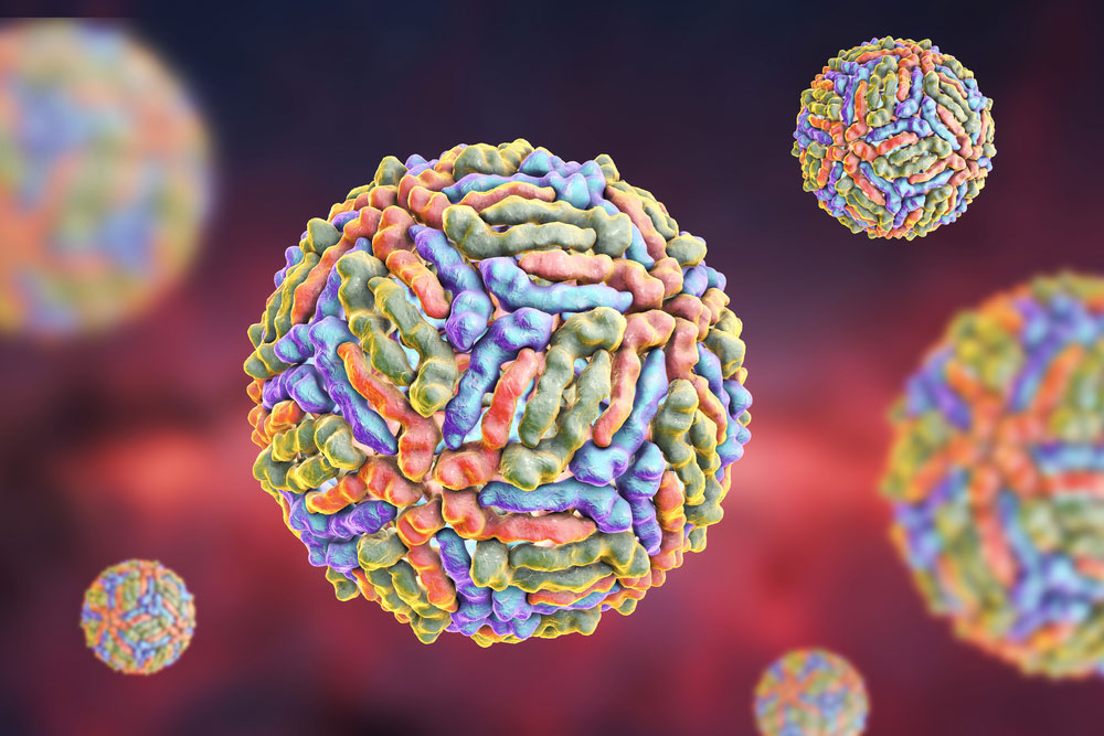 A graphic depiction of the West Nile Virus.