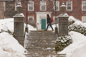 Hopkins Gate