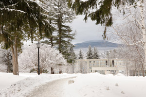 snowy scene